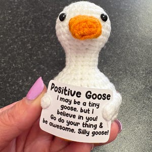 May include: A white crocheted goose with an orange beak and black eyes. The goose holds a sign that reads "Positive Goose" with an inspirational message. A cute, handmade, and whimsical item.