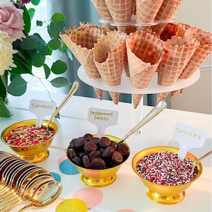 Ice Cream Bar DIY Decor Kit Package Ice Cream Party Bridal Shower Wedding Birthday Party Ice Cream Party Hosting Kit Bowls Cone Stand Signs