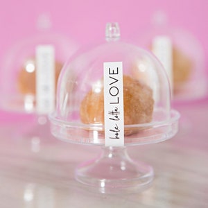 Mini Dessert Favor Stand Tiny Cake Dome Clear Plastic Wedding