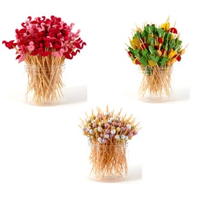 Conjunto de palitos de dente para charcutaria de estilo variado para exibição de alimentos de charcutaria, aperitivos, cones, mesa de pastagem, eventos de buffet, chá de bebê, casamento