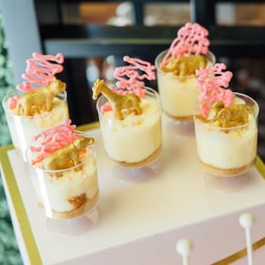 Plastic Dessert Parfait Favor Cups With Mini Spoons Appetizer Cups for ...