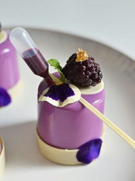 Pipettes à dessert Pipette pour fraises Petits desserts Parfaits Pipettes à cupcakes Apéritif Compte-gouttes Injecteur petits entonnoirs pour buffet