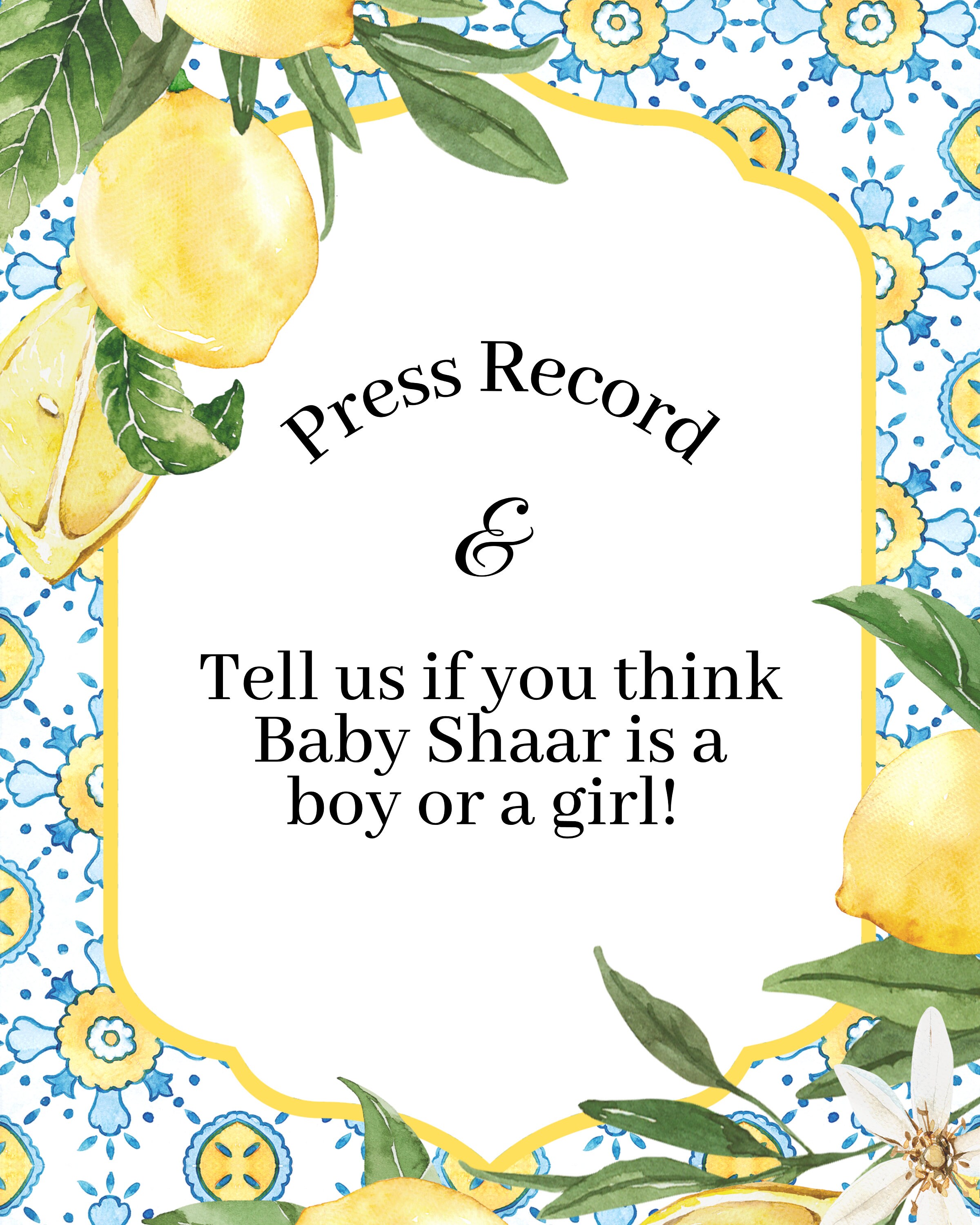 Blue Tile Gender Reveal Guessing Sign Press Record and Instruction Sign ...