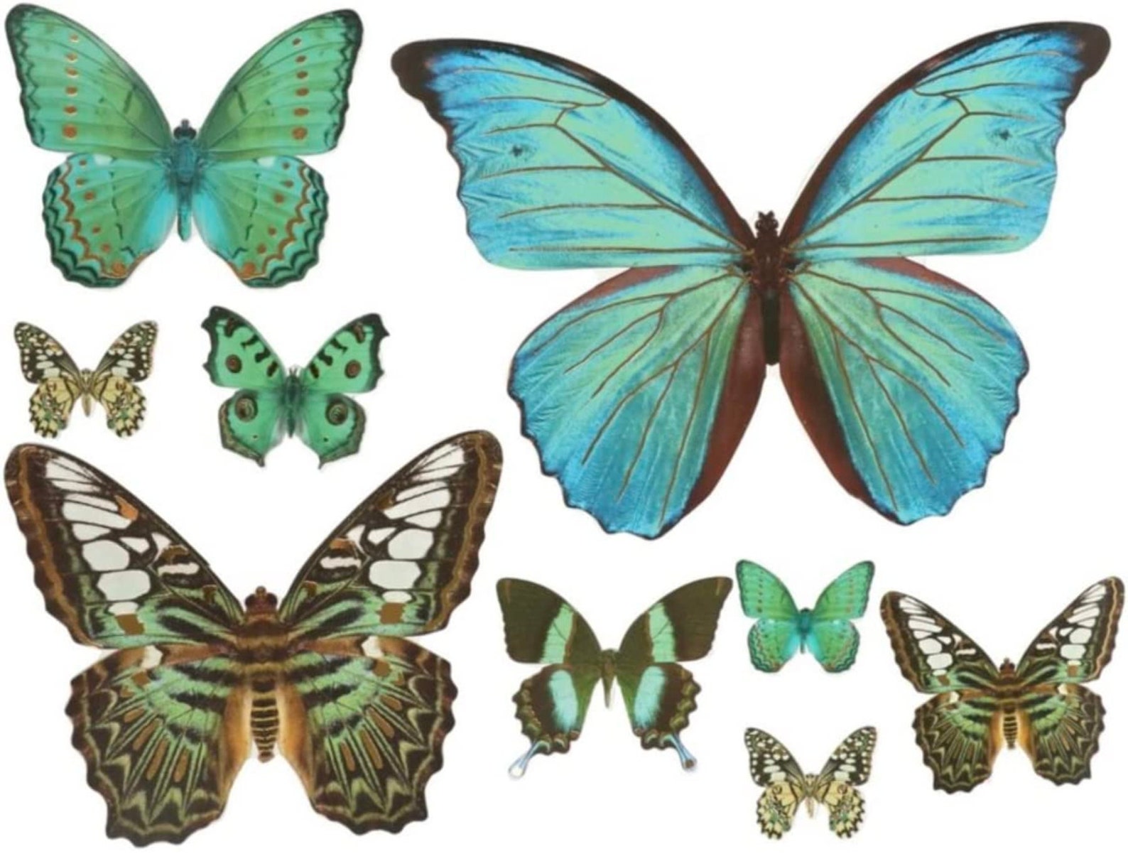 3D Butterfly Stickers Cake Party Wall Decorations Butterfly Etsy