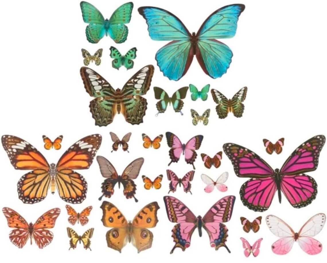 3D Butterfly Stickers Cake Party Wall Decorations Butterfly Etsy
