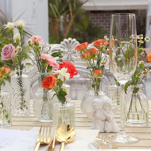 Glass Bud Vases for Flowers Small Clear Bud Vases for Centerpieces Mini Glass Vase Assorted for Bridal Shower Wedding Floral Arrangements
