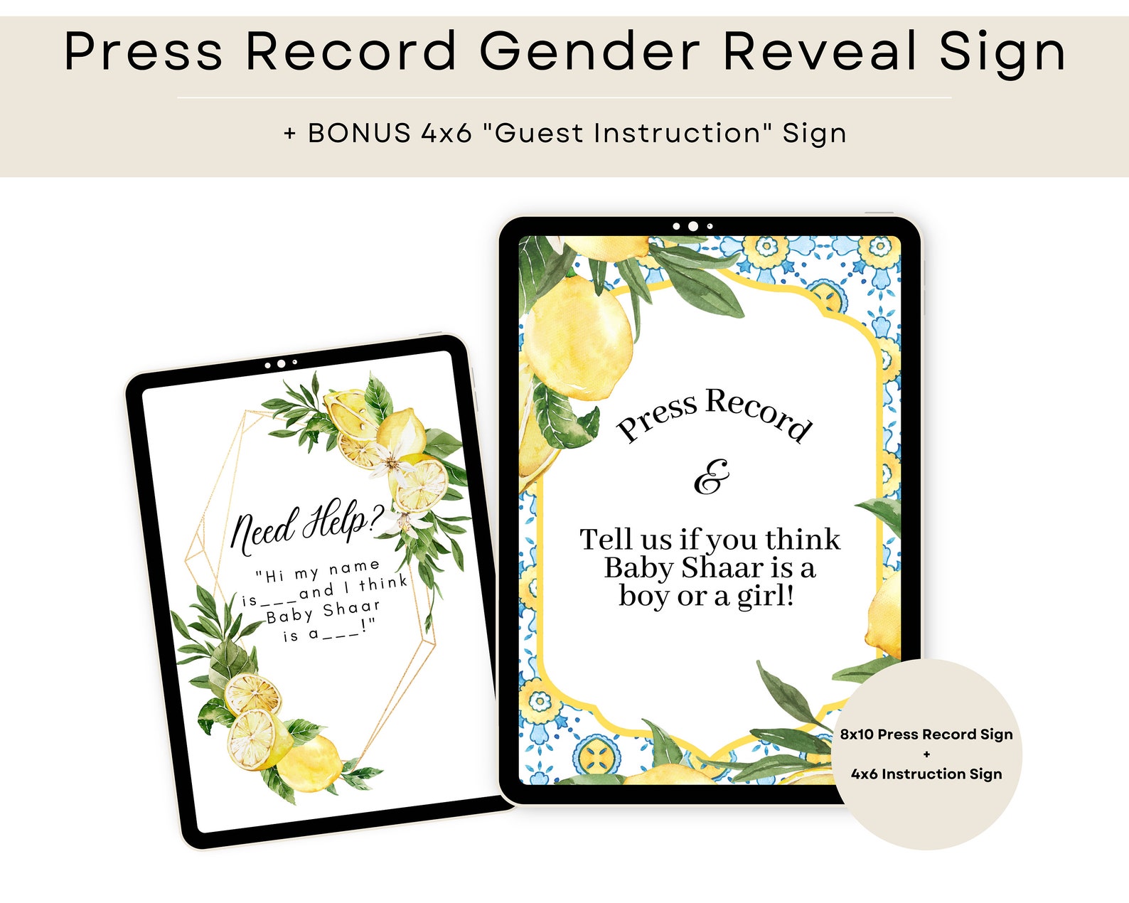 Blue Tile Gender Reveal Guessing Sign Press Record and Instruction Sign ...