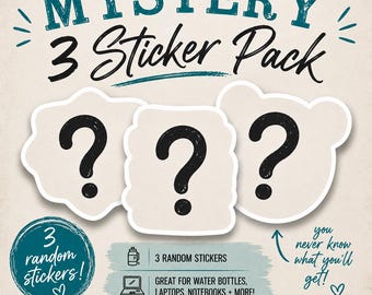 Mystery Sticker Pack | 3 Random Stickers | Cute Laptop Stickers | Water Bottle Decals | Surprise Sticker Bundle | Gift Idea