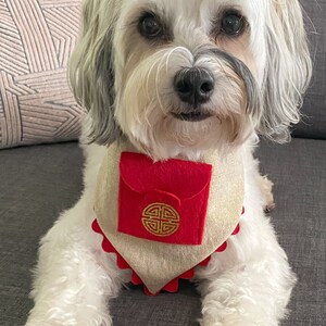 Pu&ograve; includere: Un cane bianco che indossa un bandana beige con una tasca rossa e un simbolo cinese dorato. Il cane &egrave; seduto su un divano grigio.