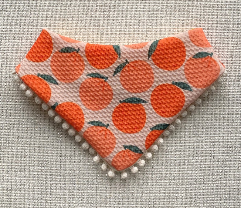 May include: A pink and orange fabric bib with a white pom-pom trim. The bib features a repeating pattern of orange slices with green leaves.