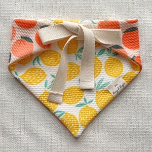 May include: A white bandana with a lemon and orange print. The bandana has a cream-colored tie and a small label that says "Remy & Ruffles".