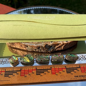 May include: A silver-toned link bracelet featuring five iridescent abalone shell inlays of varying shapes, positioned above a wooden ruler showing a length of approximately 7.5 inches, accompanied by a light green Coldwater Creek storage case.