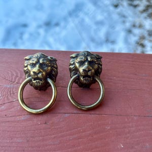 May include: Two antique brass lion head door knockers with ring handles. The lion heads have detailed manes and facial features. The knockers are set against a weathered, reddish-brown wooden surface, with a blurred snowy background.