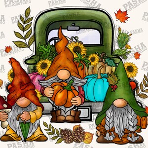 May include: Three gnomes are piled into the back of a green vintage pickup truck. The gnomes are wearing red, yellow, and green hats. The truck is filled with pumpkins, gourds, and sunflowers.