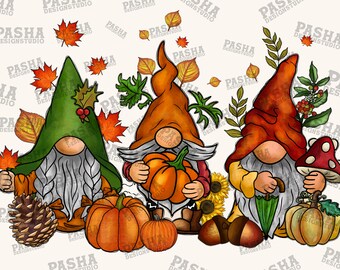 Herfstkabouter png, sublimatieontwerp, kabouter Thanksgiving png, herfstbladeren png, kabouter, pompoen png, herfst png, digitale download