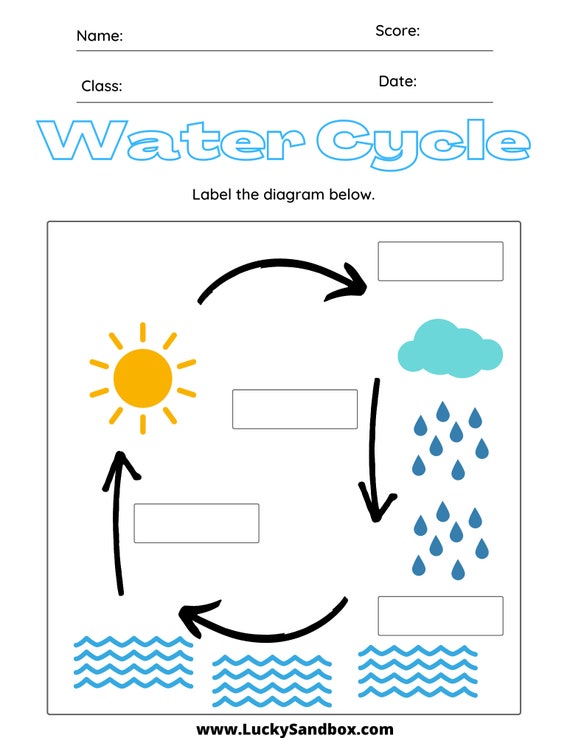 water cycle writing assignment