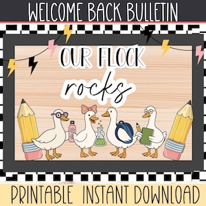 Our Flcok Rocks | Silly Goose Back to School Bulletin Board Kit | Cute Goose | Bulletin Board Kit | Goose Bulletin Board Display