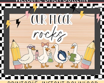Our Flcok Rocks | Silly Goose Back to School Bulletin Board Kit | Cute Goose | Bulletin Board Kit | Goose Bulletin Board Display