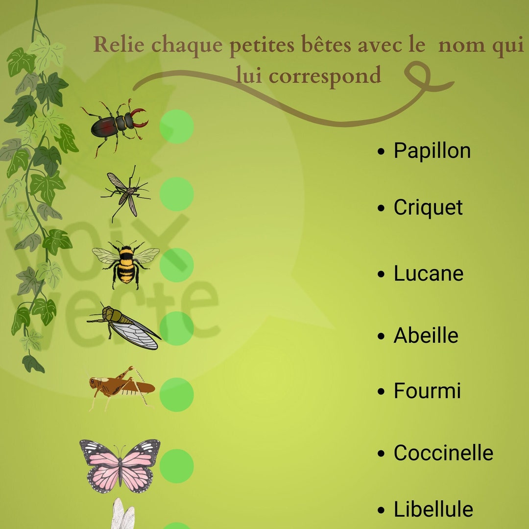 Insect Games Names to Link Digital File, Educational Game About Small