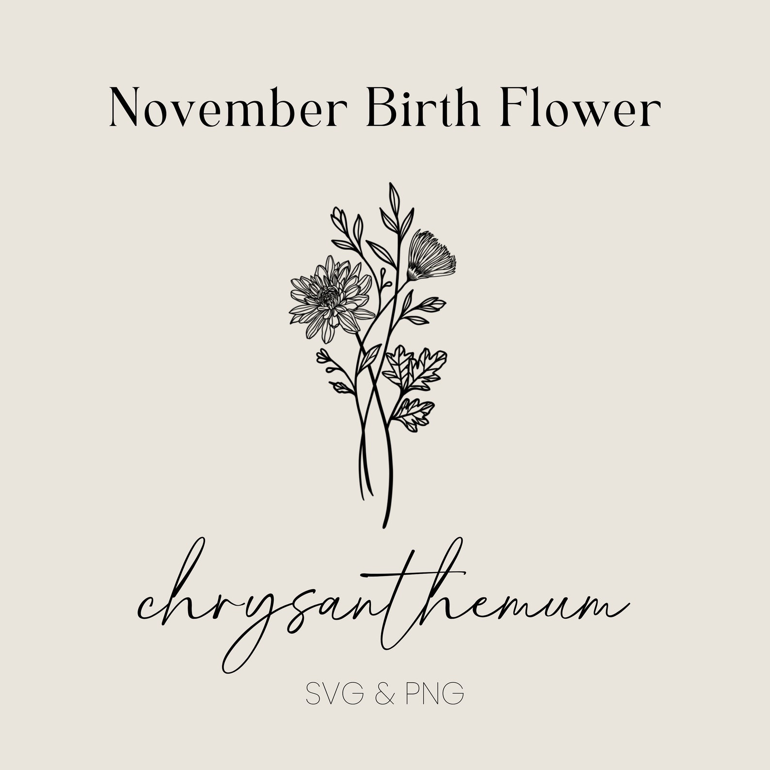 November Birth Flower SVG PNG Chrysanthemum Flower File Digital