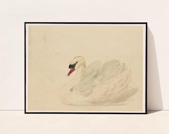 May include: A framed watercolour painting of a swan. The swan is shown in profile, with white feathers and a black beak and eye. The artwork is set against a light beige background.