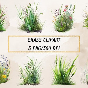 Watercolor Grass Clipart: 8 PNG Nature Illustrations (Digital Download)