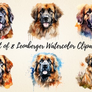 Leonberger Clipart, hochwertiges Haustier Portrait Aquarell PNG Bundle, süße Hunde Illustrationen, Welpen Hundeliebhaber Geschenke, kommerzielle Nutzung