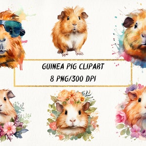 Watercolor Guinea Pig Clipart, Floral Guinea Portrait PNG Bundle, Cute Guinea Pig Art, Guinea Pig Digital Graphics, Commercial Use