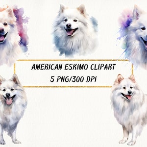 Watercolor American Eskimo Clipart, American Eskimo Dog PNG Bundle for Commercial Use, Junk Journal, Digital Paper Craft, Card Making