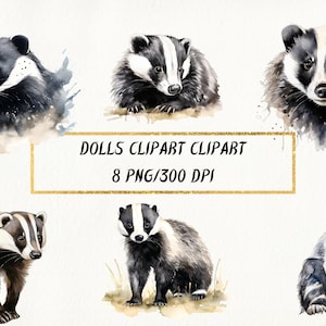 Aquarel Badger Clipart, Cute Badger PNG Bundel, Animal Clipart, Cute Forest Animal Creatures, Woodland Animals Clipart, Commercieel Gebruik