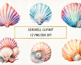 Akvarell snäckskal Clipart: Nautiska illustrationer PNG-paket (digital nedladdning)