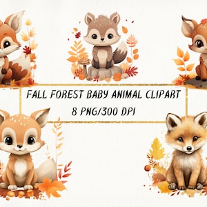 Clipart de animais bebê da floresta de outono, pacote PNG de animais da floresta de outono fofo, clipart de outono, aquarela de animais de outono, uso comercial