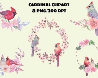 Cardinal Watercolor Clipart: Floral Bird PNG Bundle (Digital Download)