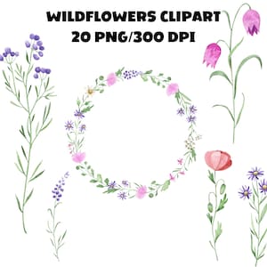 Wildflowers Watercolor Clipart Bundle, Boho Floral Clipart, Wildflower Bouquet PNG Transparent Backgrounds, Digital Download