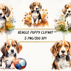 Acquerello Beagle Puppy Clipart, 5 Cute Beagle PNG Bundle, Uso commerciale, Planner digitale, Mestieri di carta, Media misti, Alta qualità