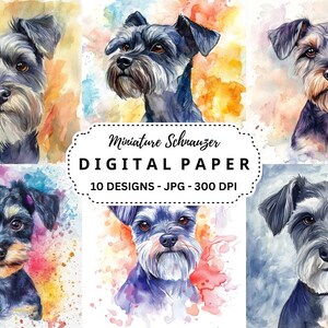 Miniature Schnauzer Watercolor Clipart: 10 JPG Images (Commercial Use)