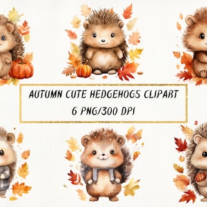 Clipart de ouriços fofos de outono em aquarela, pacote adorável de ouriço PNG para uso comercial, Junk Journal, Scrapbooking, artesanato em papel digital