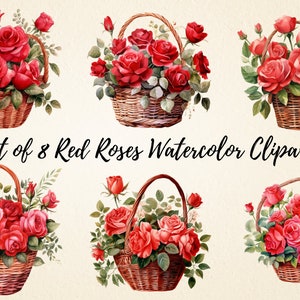 Rode rozen in de mand clipart bundel, aquarel elegante rozenmand voor bruiloftsbriefpapier, woondecoratie en scrapbooking, commercieel gebruik