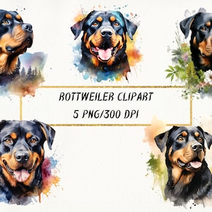 Watercolor Rottweiler Clipart: PNG Bundle, Commercial Use (Digital Download)
