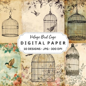 Clipart de gaiola de pássaro vintage, 10 arquivos JPGs de aquarela de alta qualidade para diário de lixo, artesanato, scrapbooking, fundos, papéis digitais