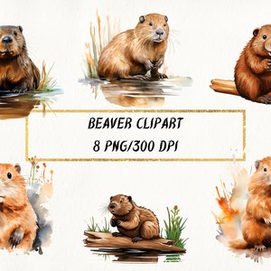 Aquarell Biber Clipart, süßes Biber PNG Bundle, Baby Biber PNG Bilder, kommerzielle Nutzung, digitales Papier Handwerk, Kartenherstellung, gemischte Medien