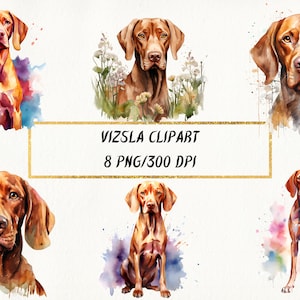 Aquarela Vizsla Clipart, Cute Vizsla Dogs Pacote PNG de alta qualidade para uso comercial, fabricação de cartões, artesanato em papel, mídia mista