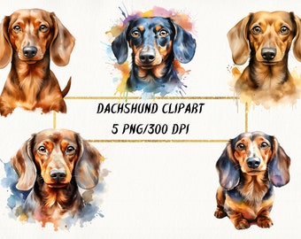 Watercolor Dachshund Clipart, Dog Portrait PNG Bundle (Digital Download