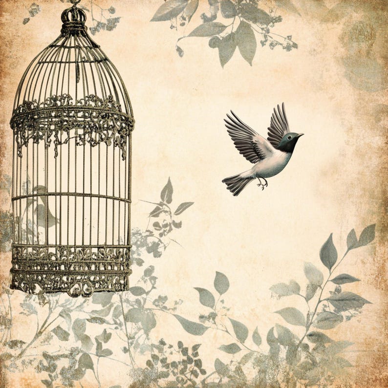 Vintage Bird Cage Clipart, 10 High Quality Watercolor Jpgs Files for