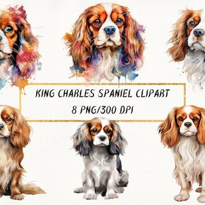 Clipart de aquarela Cavalier King Charles Spaniel, pacote PNG de retrato de cachorro fofo para uso comercial, artesanato em papel digital, confecção de cartões