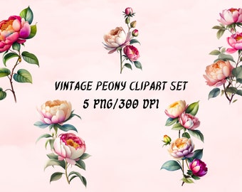 Clipart de peonías vintage: flores bohemias en acuarela (descarga digital)