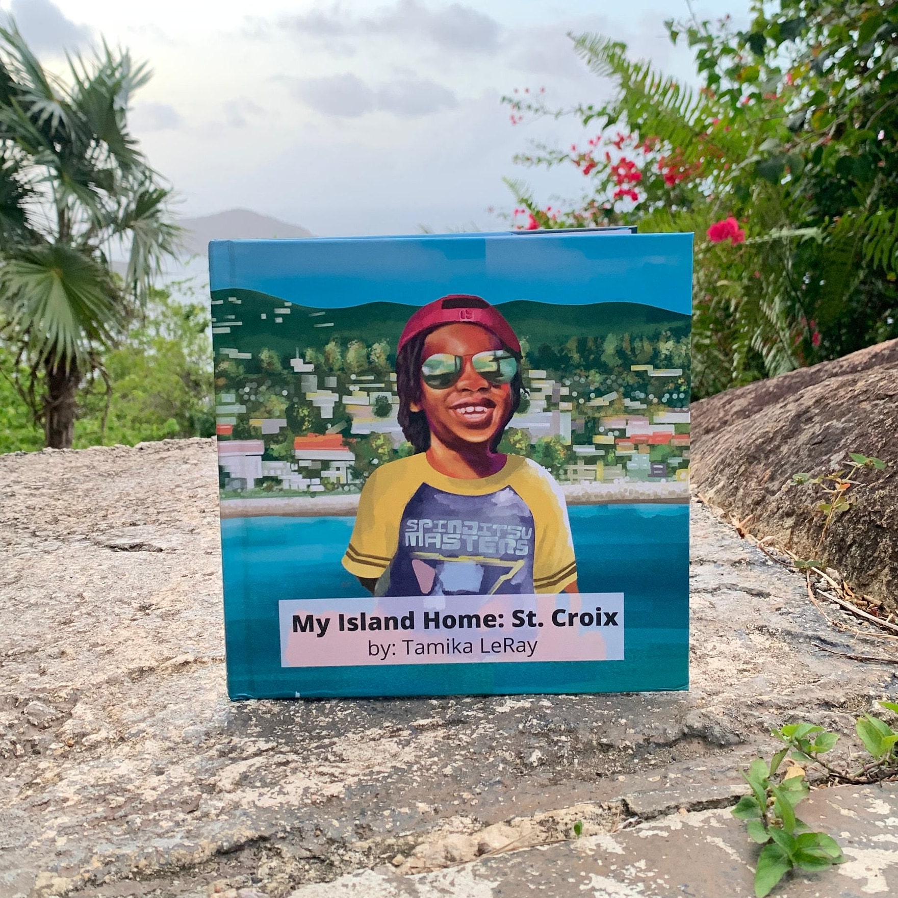 My Island Home St. Croix children's Book Etsy