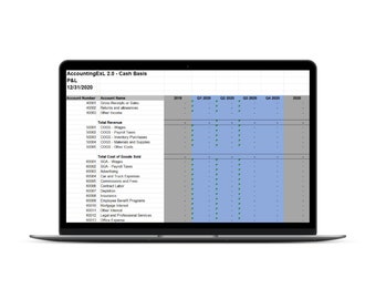 Cash Basis Accounting Excel Spreadsheet | Easy Income Tax Filing for Small Businesses | VIDEO TUTORIAL INCLUDED