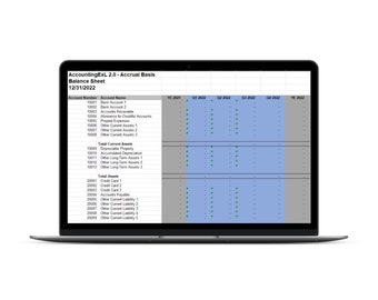 Accrual Basis Accounting Excel Spreadsheet | Trial Balance, Balance Sheet, and P&L | VIDEO TUTORIAL INCLUDED