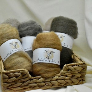 Hand-dyed Roving Wool Top, 25g
